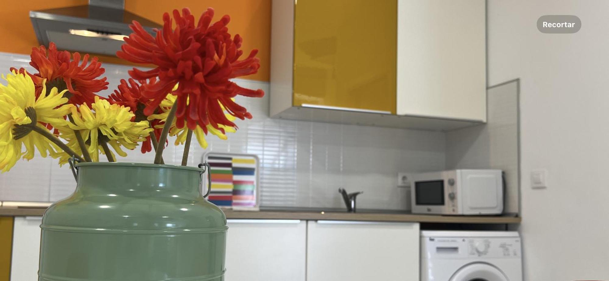 Ancla Real Loft Appartement *