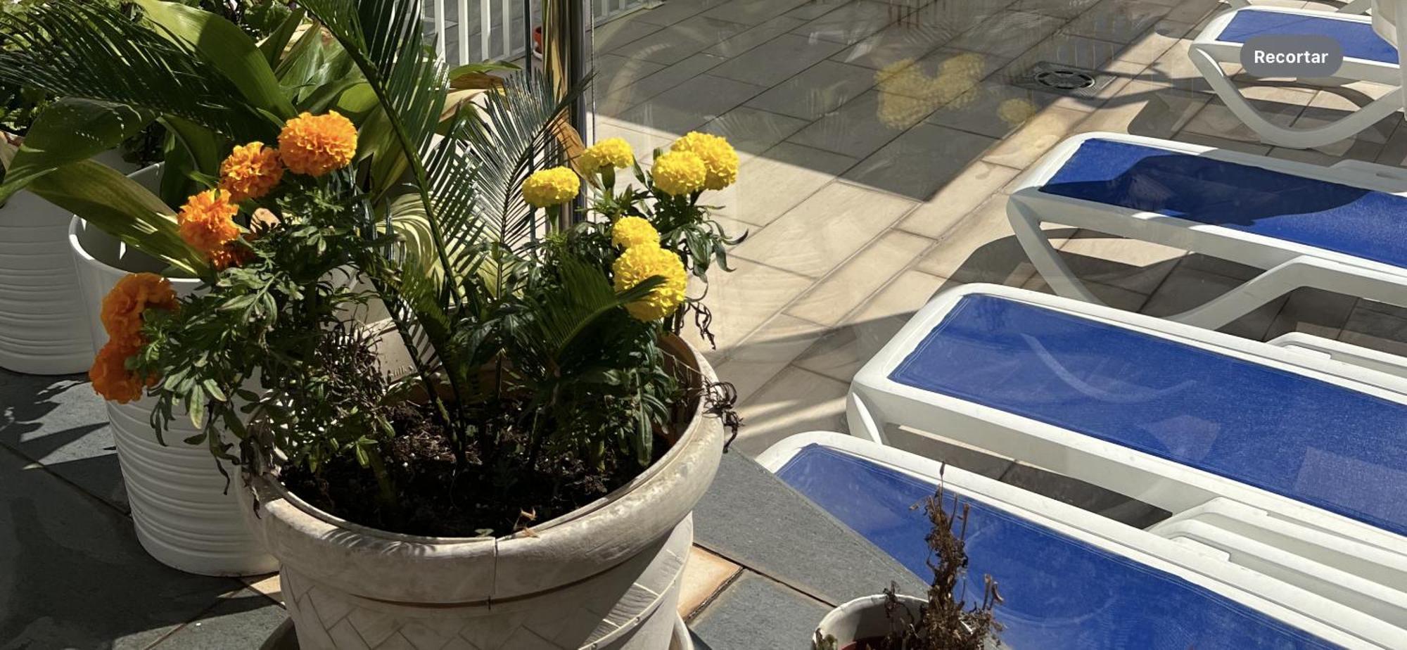 Appartement Ancla Real Loft