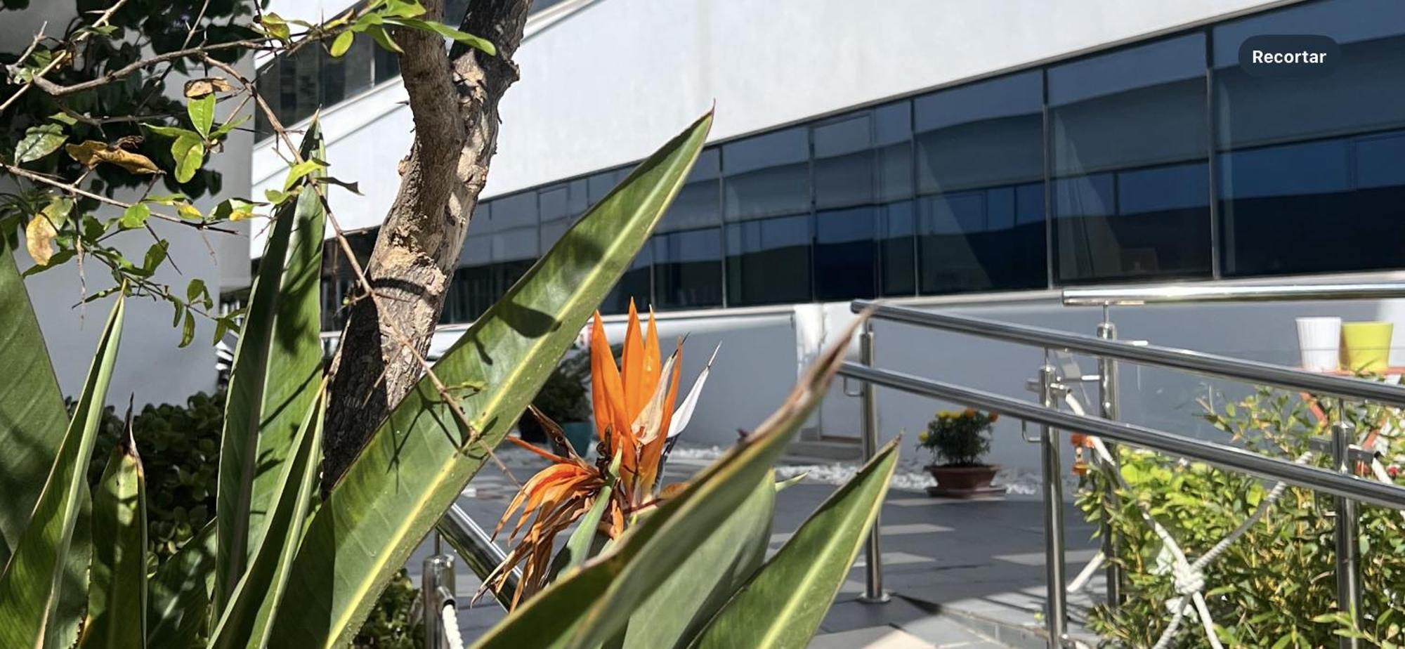 Apartamento Ancla Real Loft